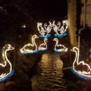 evepa88#angarrack #lights #angarracklights #cornwall #christmas